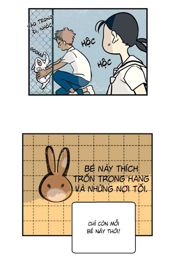 Lá thư giấu kín Chap 3 - Next 