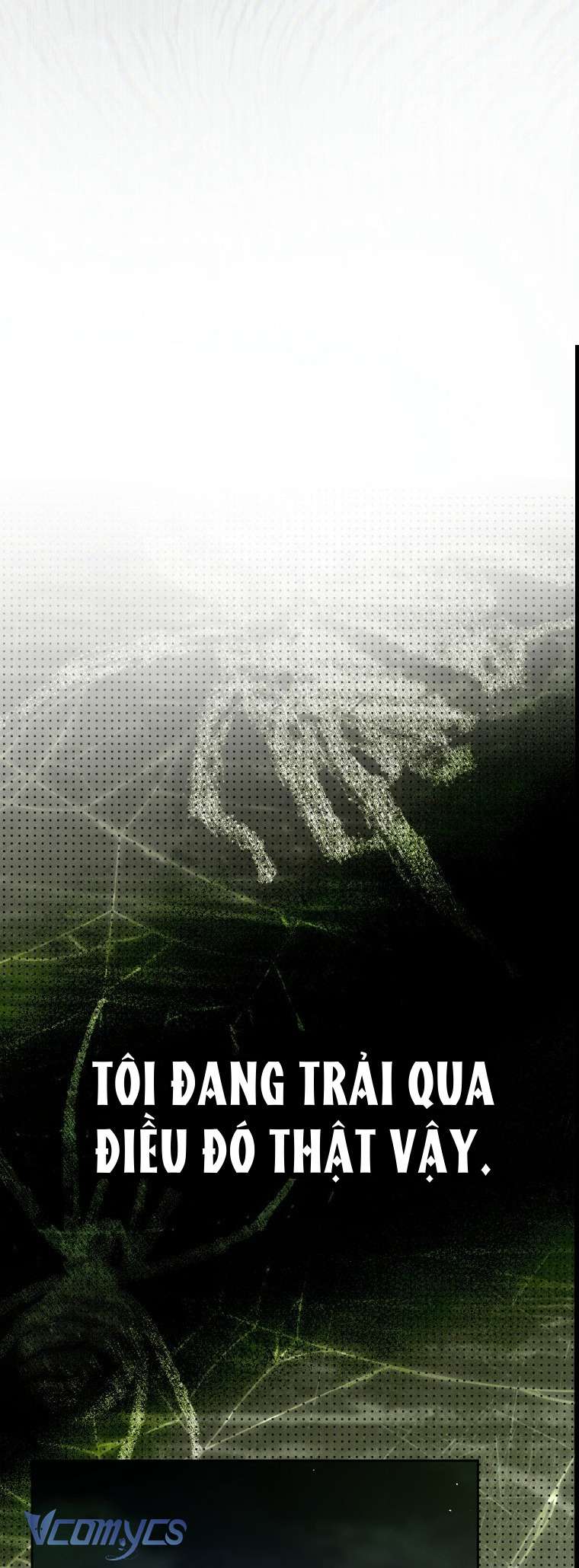 Người Vợ Hắc Ám Của Cậu Chồng Nhỏ Chap 28 - Trang 2