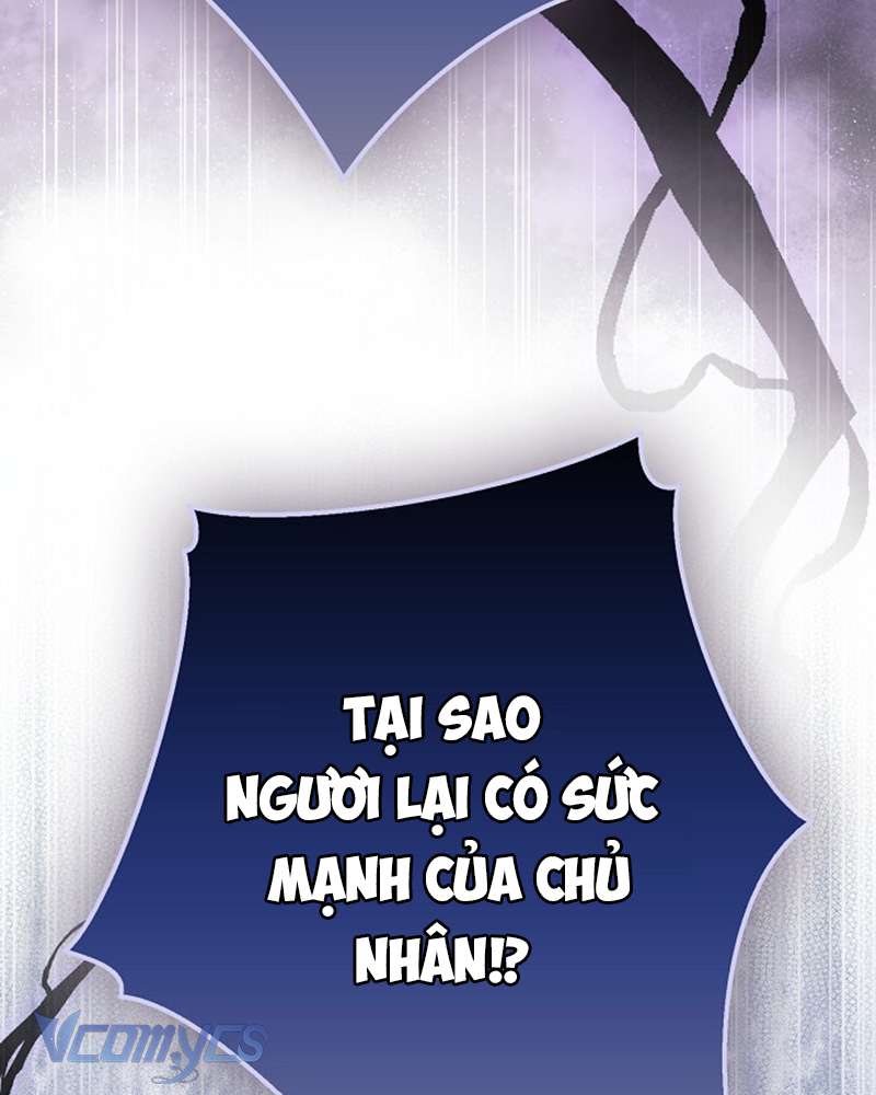 Các Nam Chính Đã Bị Nữ Phụ Cướp Mất Chap 56 - Trang 3