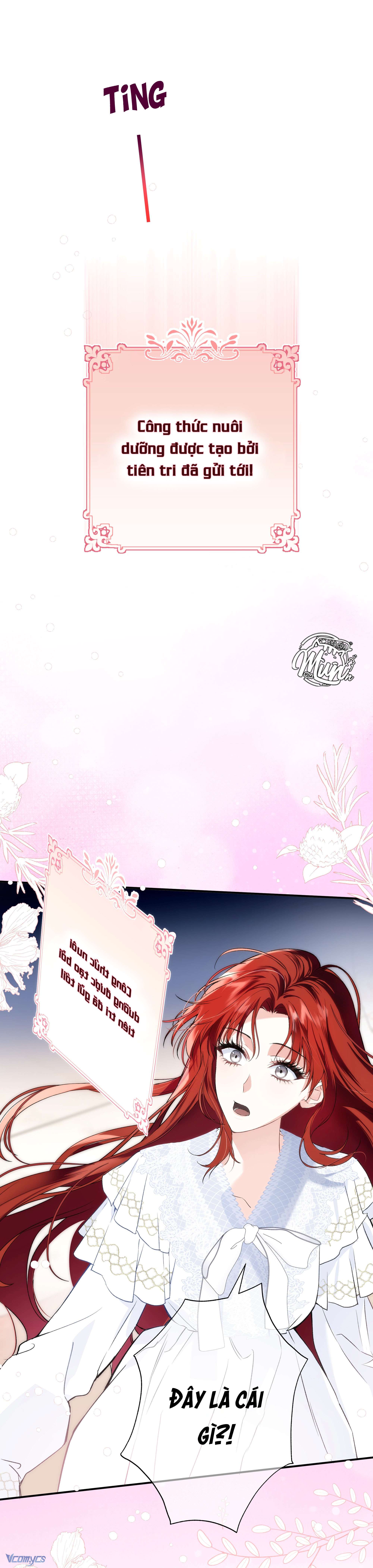 Cô ấy sẽ thuần hoá anh hùng Chap 2 - Next Chap 3