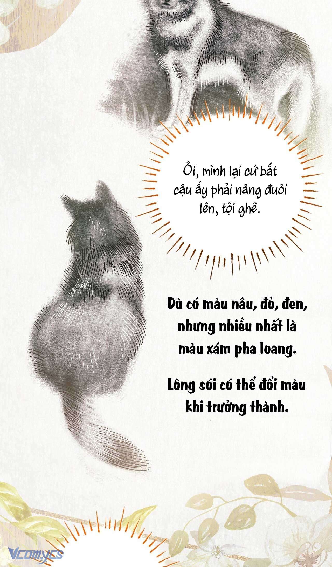 Gửi đến người sói yêu dấu của em Chap 9 - Next Chap 10