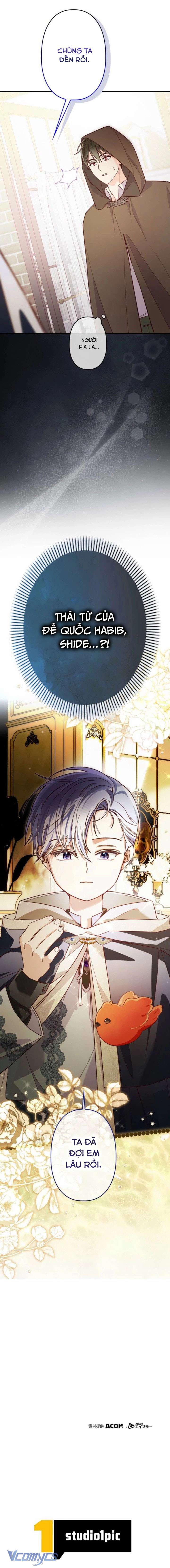 Kiếp Này Em Sẽ Không Sống Dưới Cái Bóng Của Người Chị Song Sinh Chap 36 - Trang 2