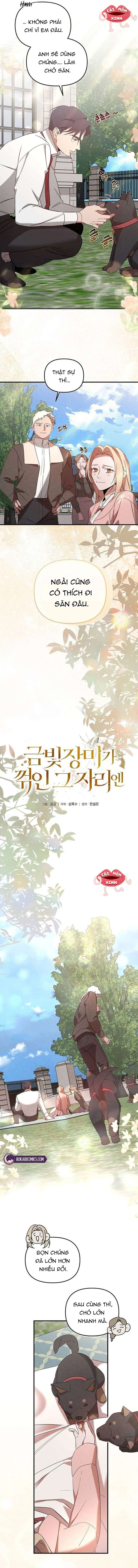 Nơi Đóa Hồng Vàng Úa Tàn Chap 25 - Trang 2