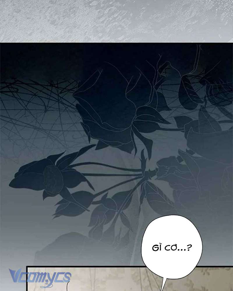 Các Nam Chính Đã Bị Nữ Phụ Cướp Mất Chap 40 - Trang 3