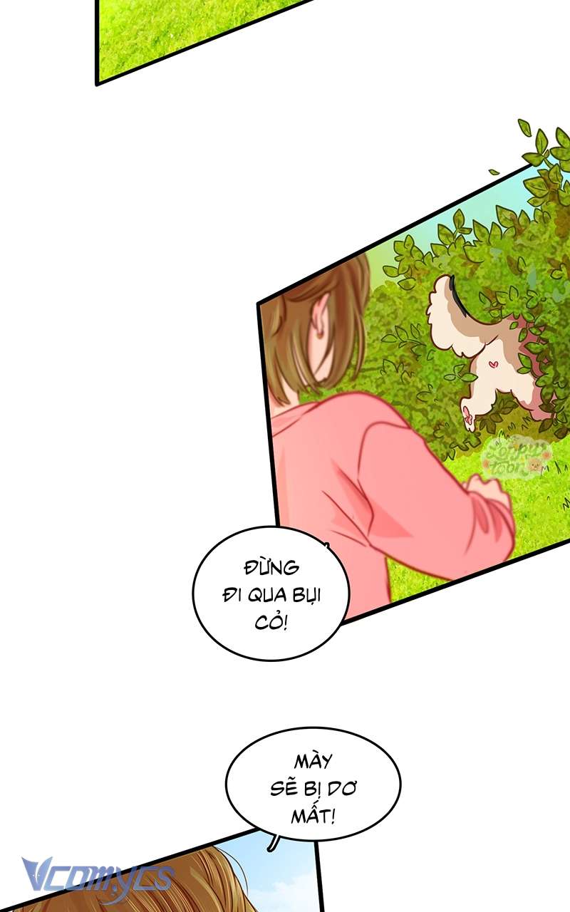 Chú Cún Dạo Bước Cùng Anh Chap 8 - Trang 2