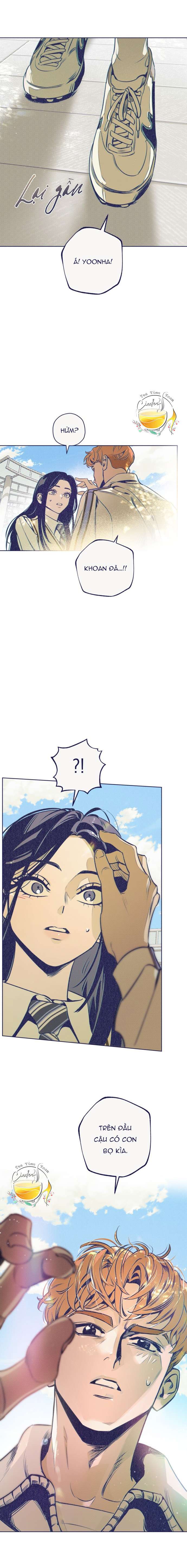 Trắc Nghiệm Bốn Lựa Chọn Chap 5 - Trang 2