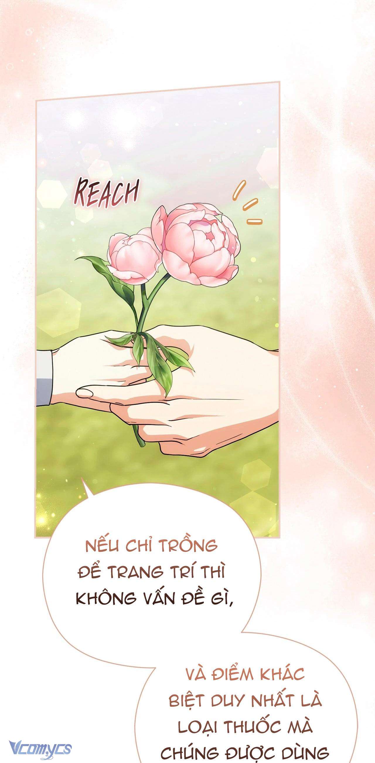 Nàng Công Chúa Trong Chuồng Gà Chap 44 - Trang 3
