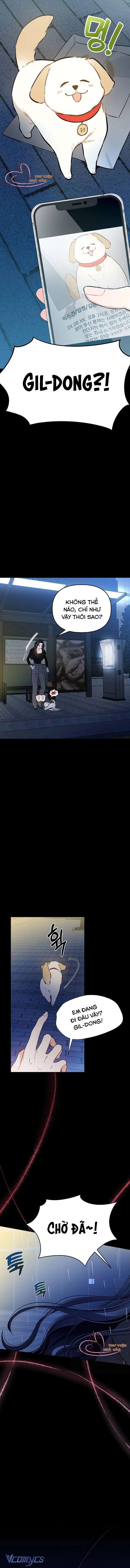 Sếp, Em Sẽ Trở Thành Cún Cưng Của Anh Chap 1 - Trang 3