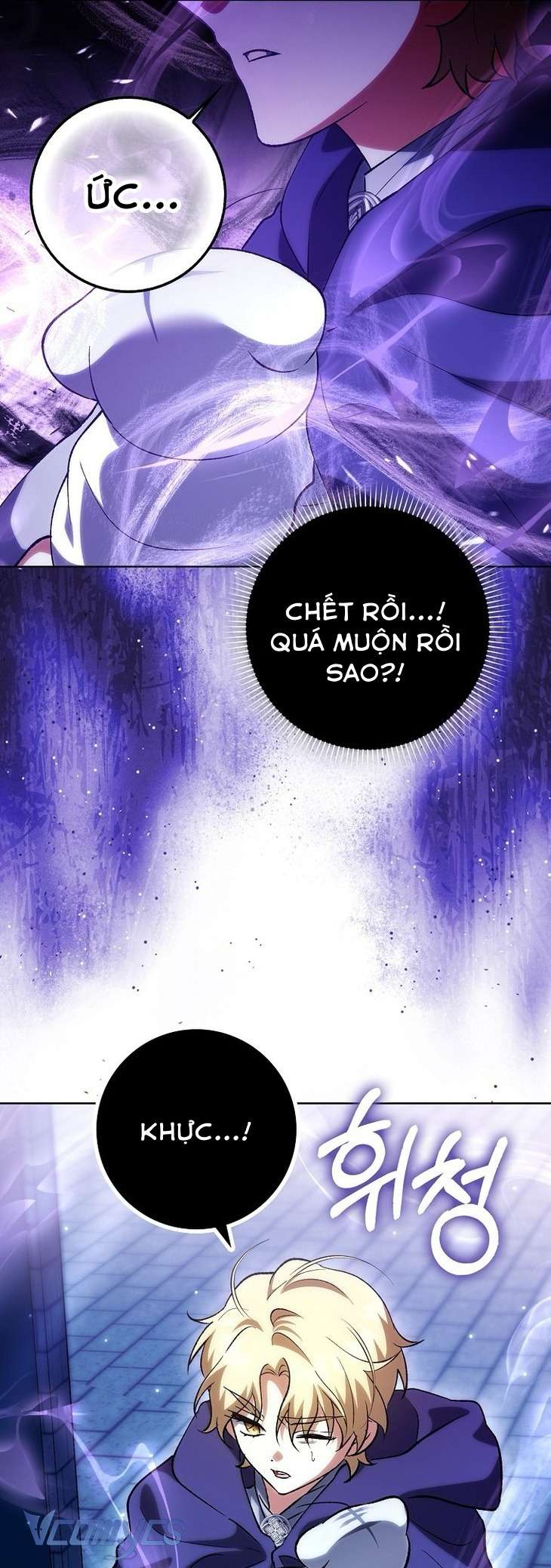 Công Chúa Bạch Hổ Không Có Nguy Hiểm Nha! Chap 14 - Trang 2