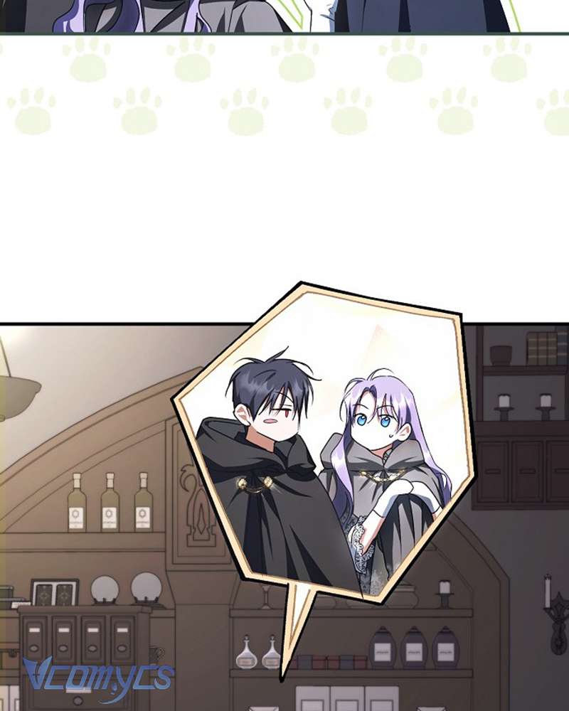 Các Nam Chính Đã Bị Nữ Phụ Cướp Mất Chap 42 - Trang 3