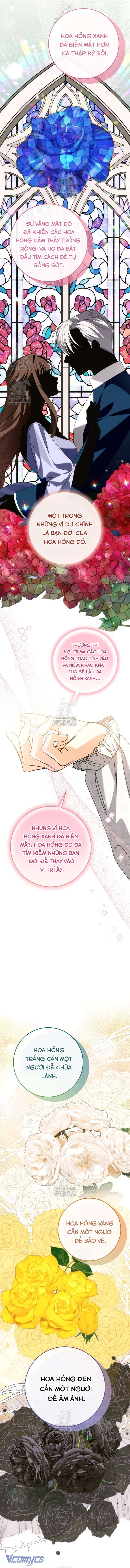 Tôi Gặp Nam Chính Trong Tù Chap 74 - Trang 3
