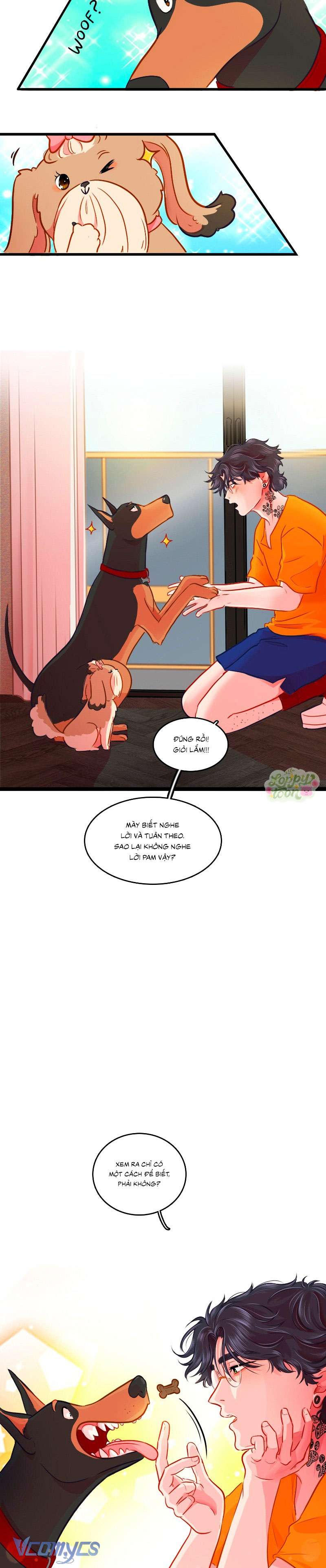 Chú Cún Dạo Bước Cùng Anh Chap 6 - Trang 2