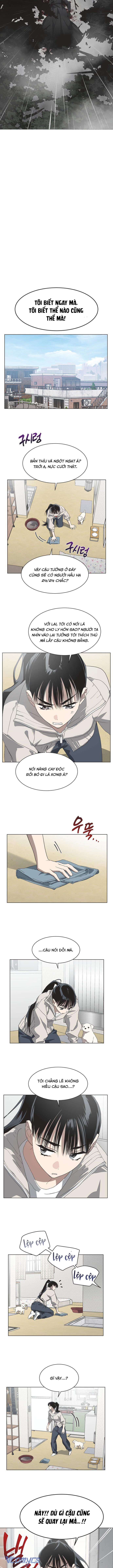 Lọ Lem Không Hoàn Hảo Chap 84 - Trang 4