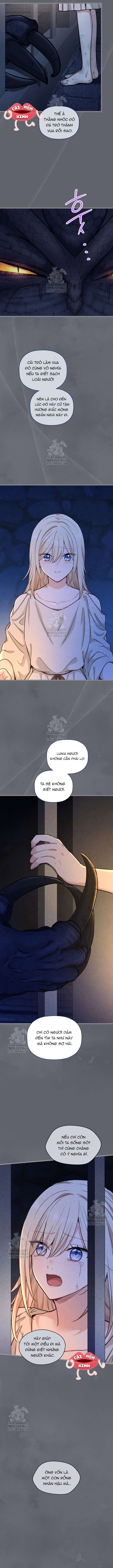 Bệ Hạ, Xin Hãy Quên Tôi Đi Chap 45 - Trang 2