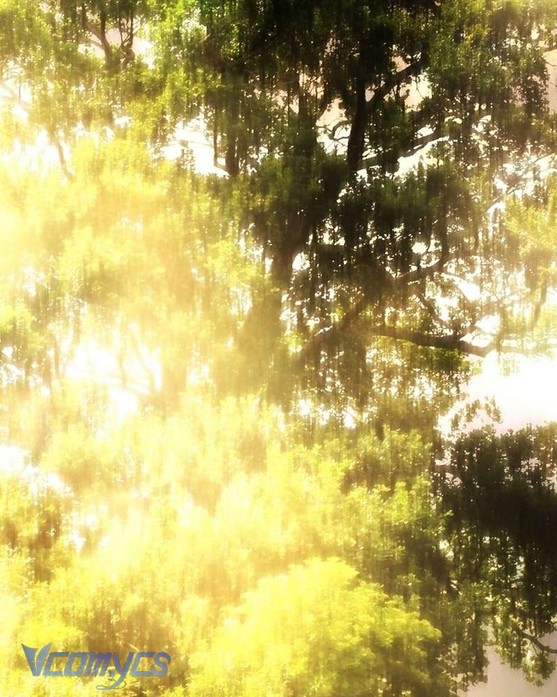 Hãy Dạy Em Cách Khao Khát Chap 33 - Trang 2