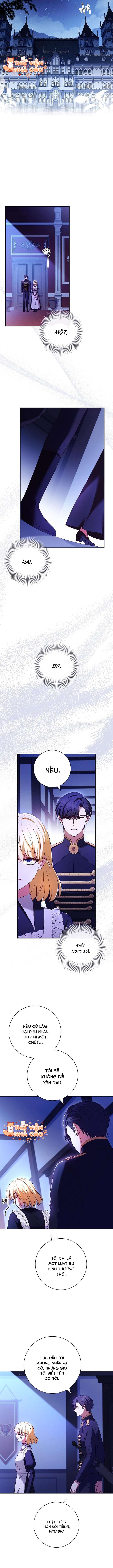 Hãy Để Luật Sư Chuyên Nghiệp Lo Chuyện Ly Hôn Chap 12 - Trang 2