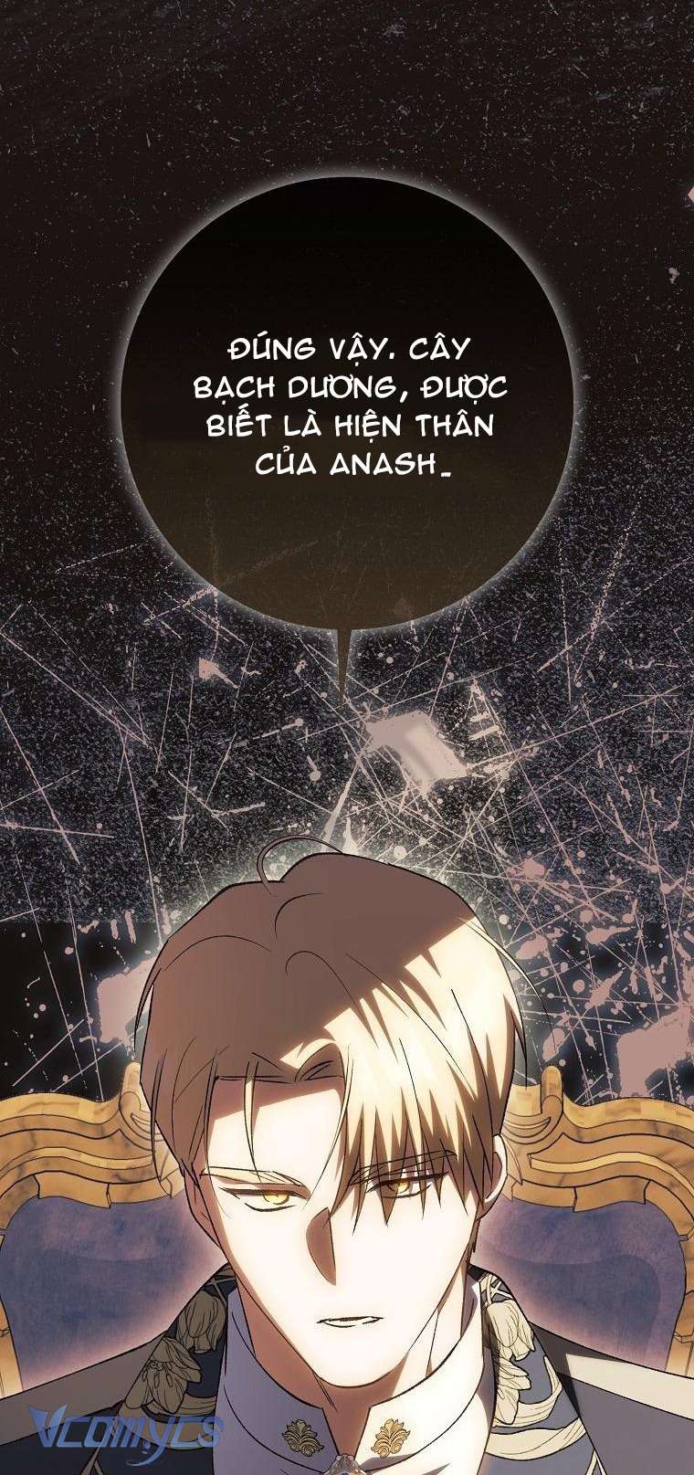 Công Chúa Bạch Hổ Không Có Nguy Hiểm Nha! Chap 12 - Trang 2