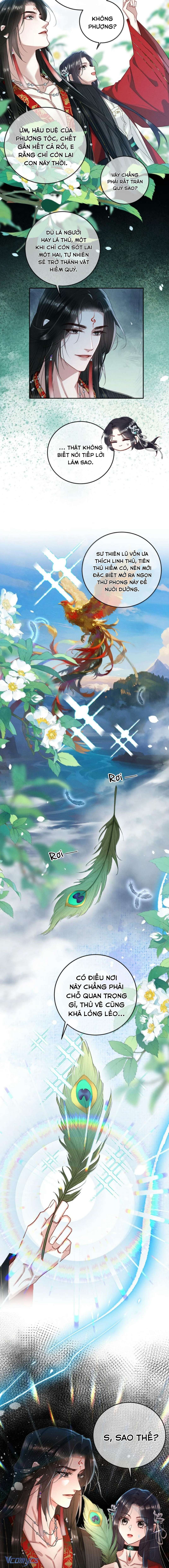 Dâng Cá Muối Cho Sư Tổ Chap 41 - Trang 2