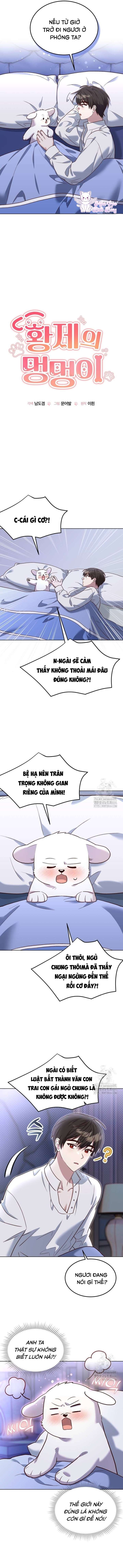 Chú Cún Cưng Của Hoàng Đế Chap 14 - Next 