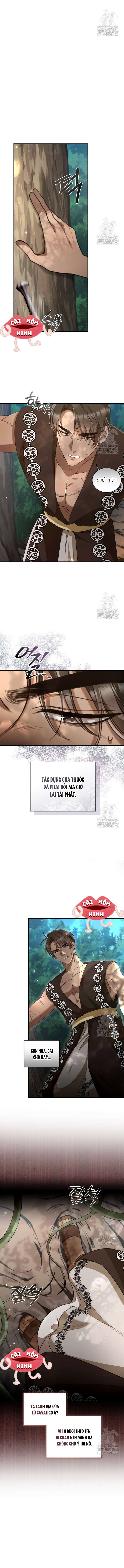 Khu Rừng Hoang Dã (END) Khu Rừng Hoang Dã -Chap 50 - Trang 2