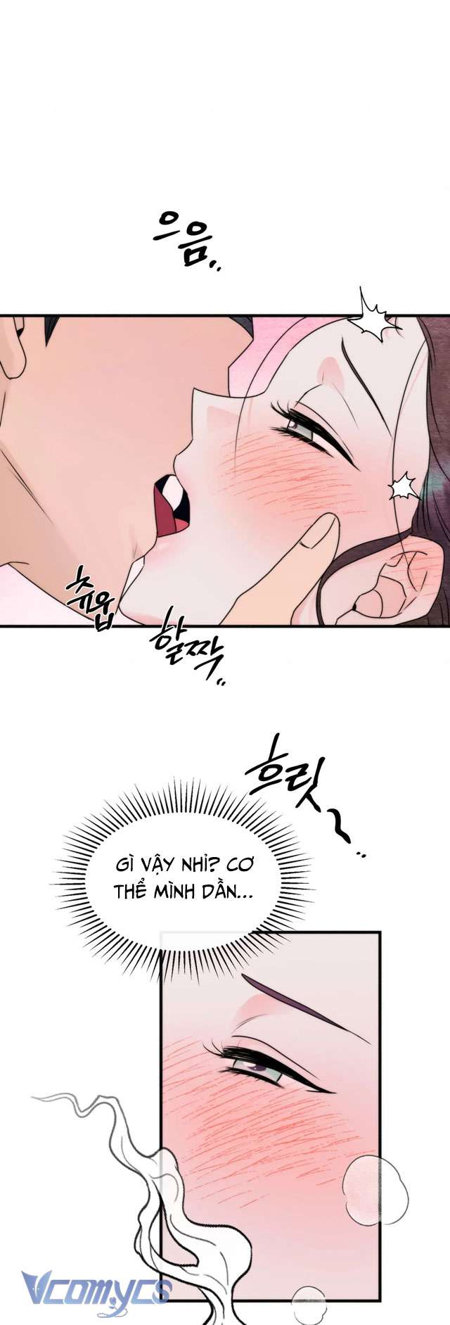 [KHÔNG CHE] Đâu Mới Là Thật? Chap 4 - Trang 2