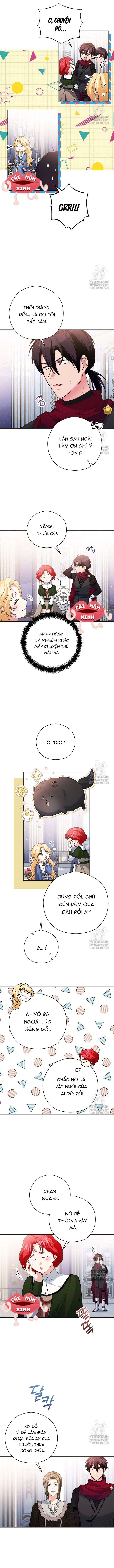 Không Cần Sự Ám Ảnh Của Bạo Chúa Chap 17 - Trang 4