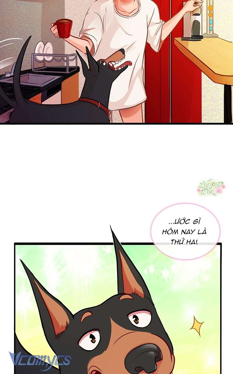 Chú Cún Dạo Bước Cùng Anh Chap 8 - Trang 2