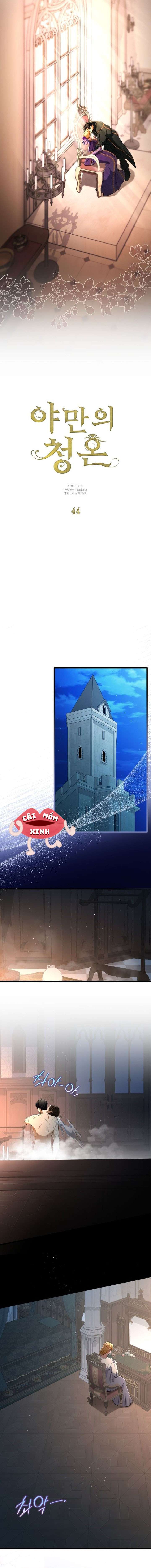 Lời Cầu Hôn Hoang Dã Chap 44 - Trang 2