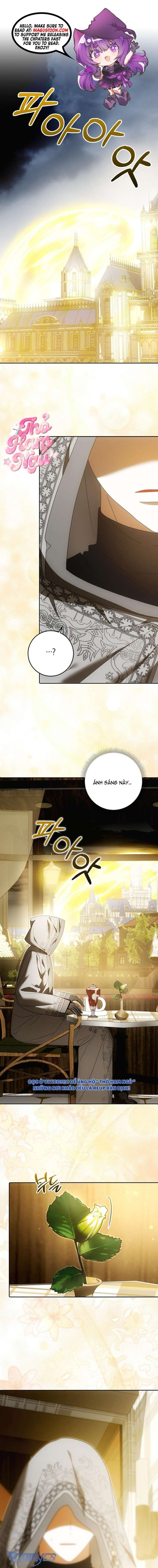 [15+] Tôi Không Muốn Ngủ Chung Giường Với Ngài Đâu! Chap 23 - Trang 3