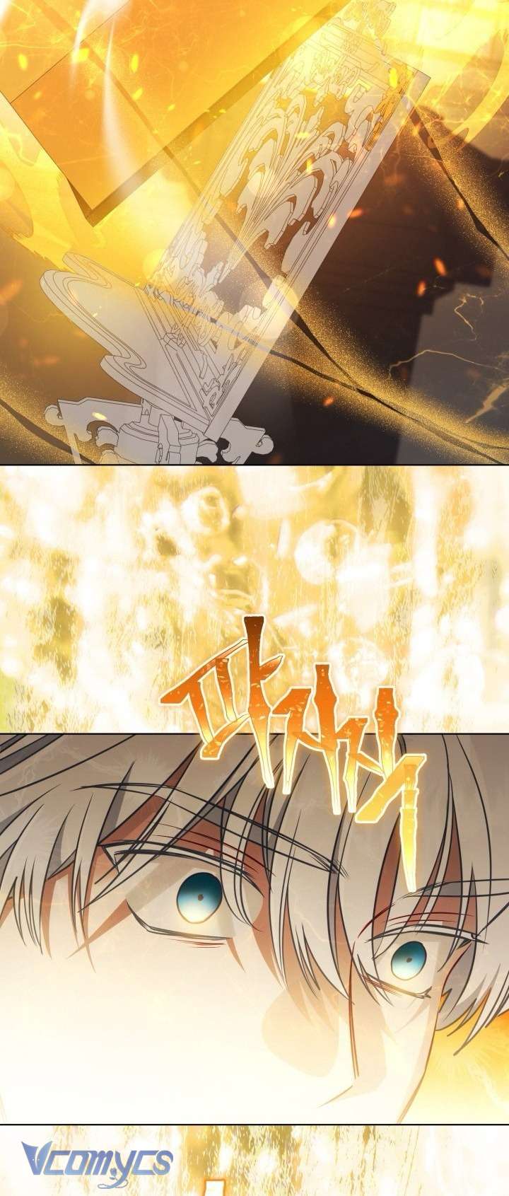 Sự Điều Trị Đặc Biệt Của Tinh Linh Chap 116 - Next Chap 117