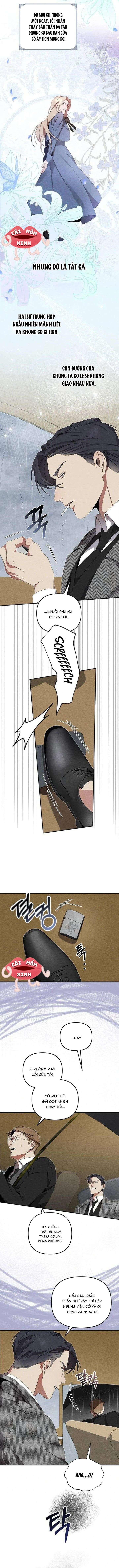 Nơi Đóa Hồng Vàng Úa Tàn Chap 4 - Trang 3