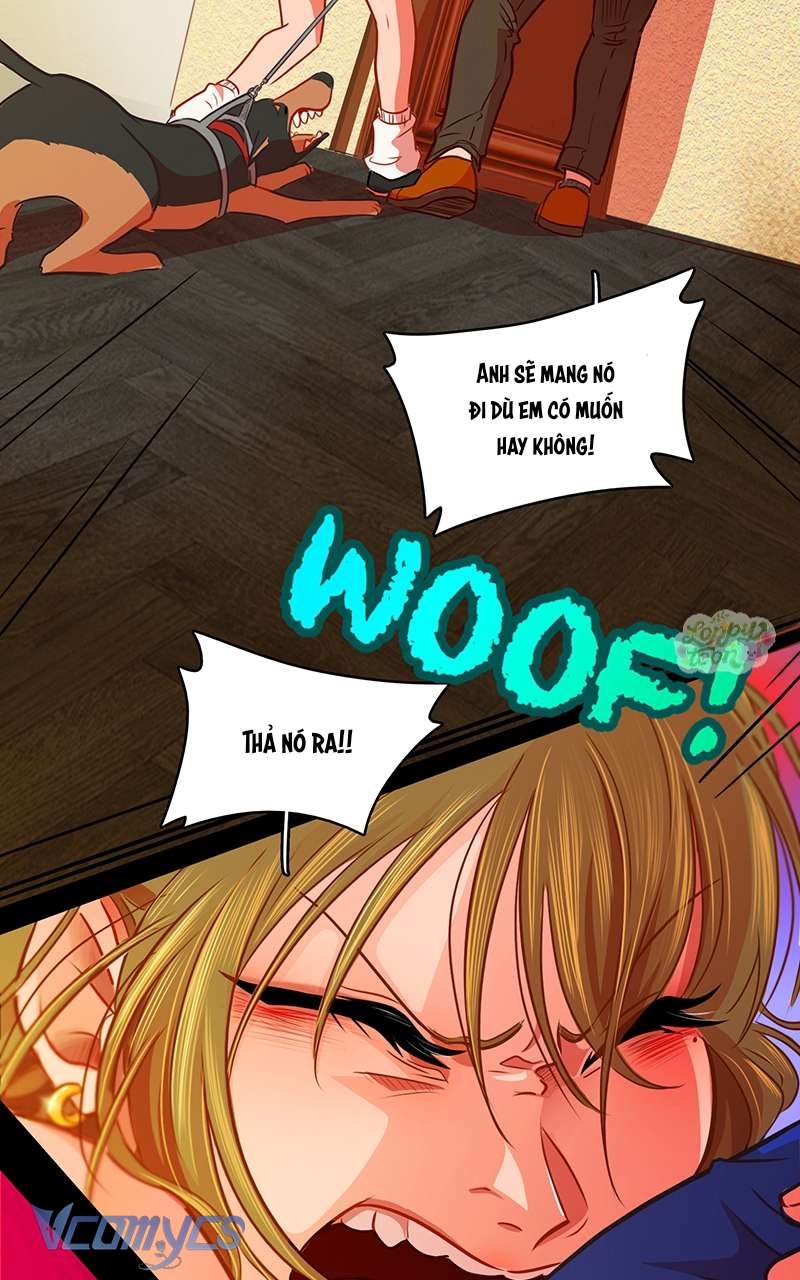 Chú Cún Dạo Bước Cùng Anh Chap 9 - Trang 2