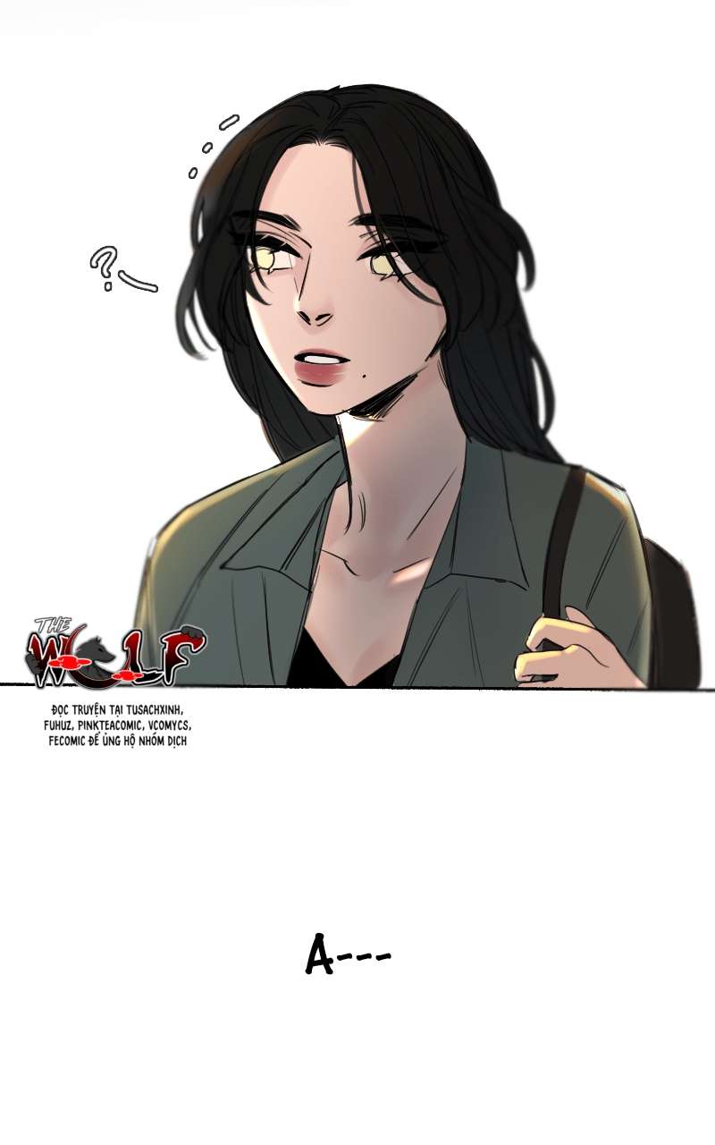 Tình Cờ Thật Đấy Chap 32 - Trang 3