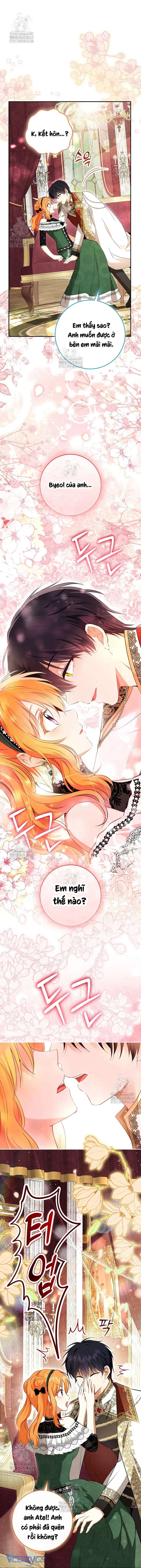 Sóc Con Tài Năng Chap 118 - Trang 2