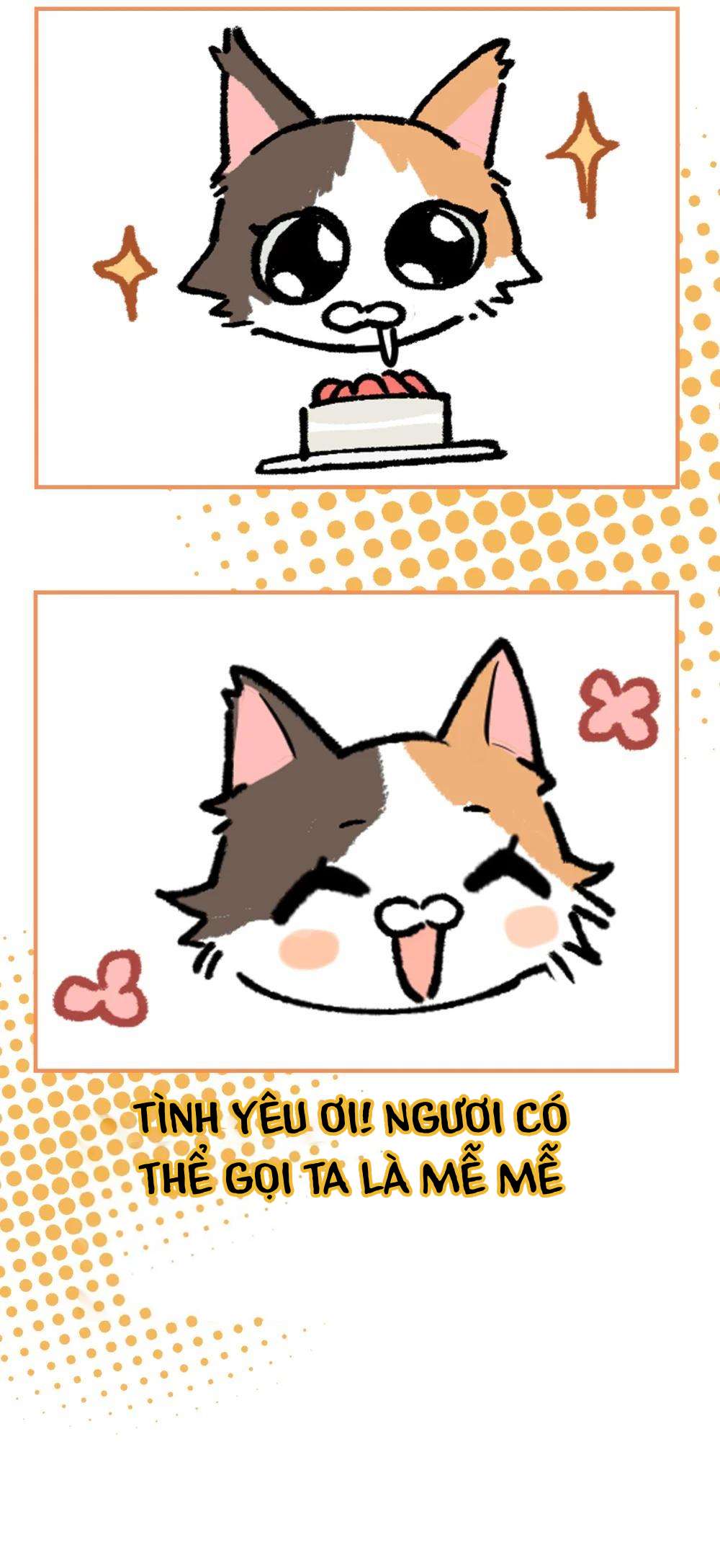 Hôm nay anh đã lộ bí mật chưa? Chap 7 - Trang 2