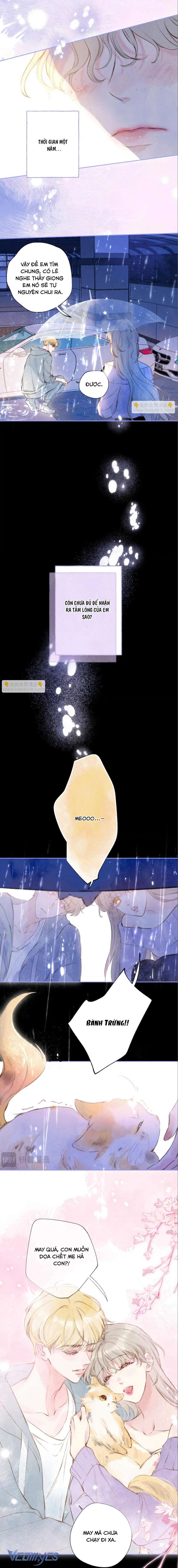 Chiếc Gai Ấm Áp Chap 70 - Next Chap 71