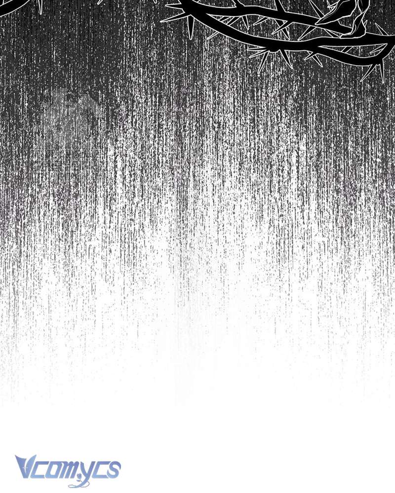 Các Nam Chính Đã Bị Nữ Phụ Cướp Mất Chap 65 - Trang 2