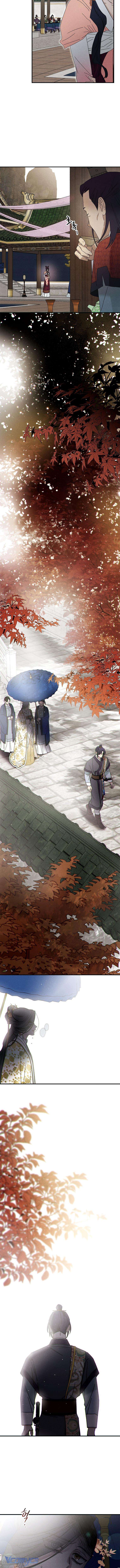 Quốc Hôn Chapter 54 - Trang 4