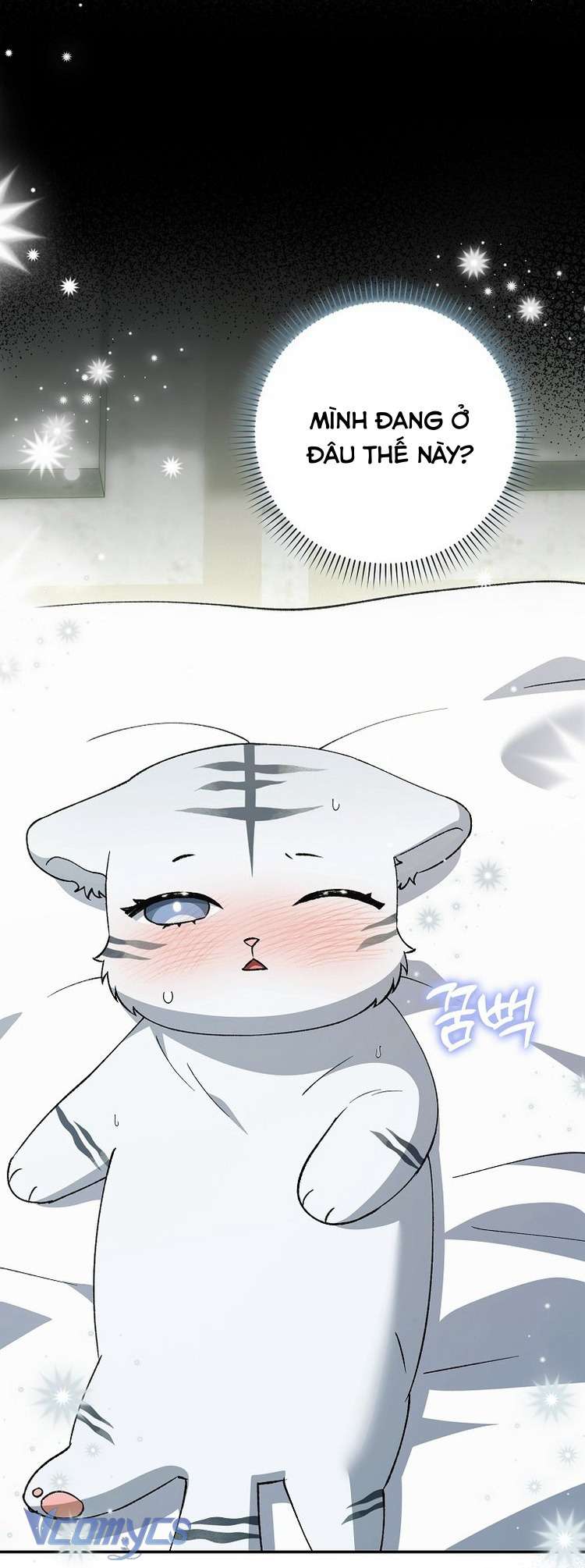 Công Chúa Bạch Hổ Không Có Nguy Hiểm Nha! Chap 10 - Trang 2