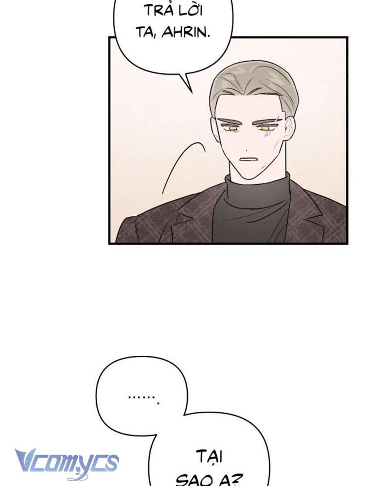 Tối Nay Tôi Là Người Được Cô Ấy Chọn Chap 2 - Trang 3