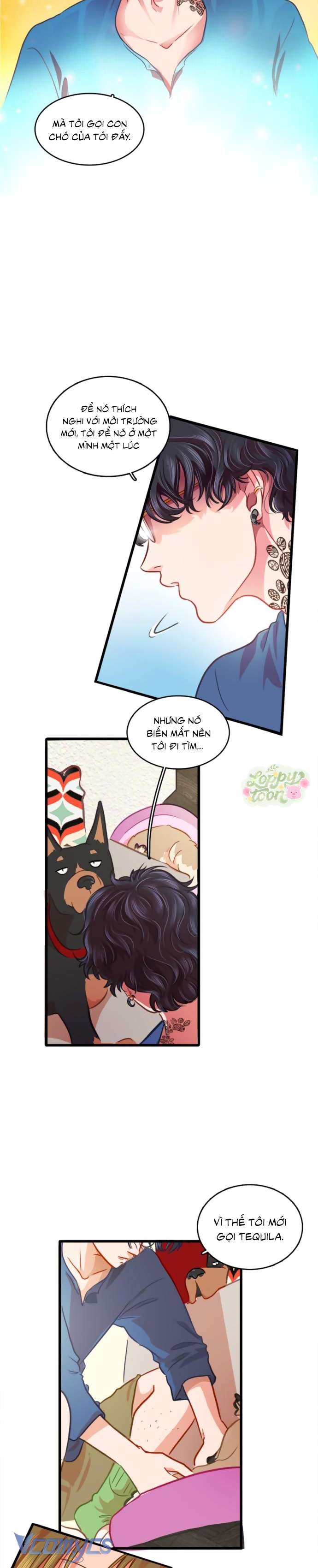 Chú Cún Dạo Bước Cùng Anh Chap 2 - Trang 2