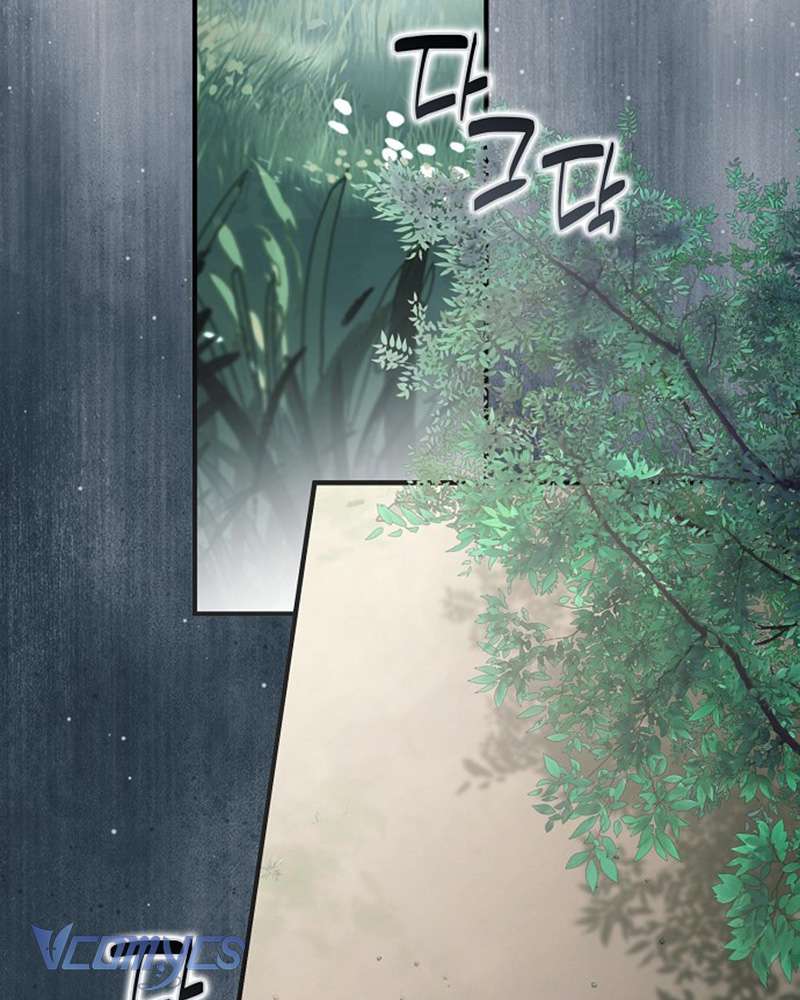 Các Nam Chính Đã Bị Nữ Phụ Cướp Mất Chap 59 - Trang 3