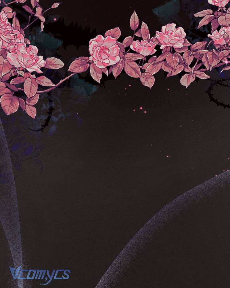 Tối Nay Tôi Là Người Được Cô Ấy Chọn Chap 2 - Trang 3