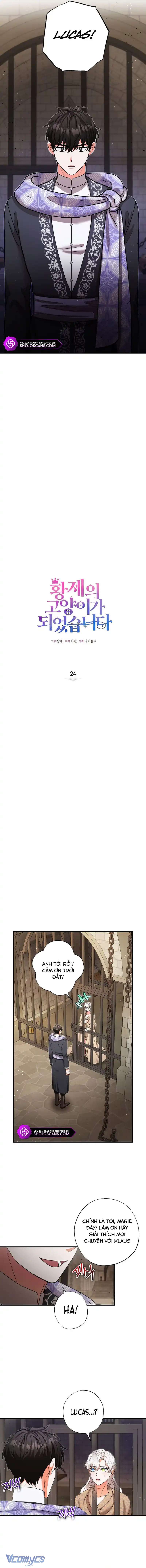 Trở Thành Miêu Nữ Của Hoàng Đế Chapter 24 - Trang 4