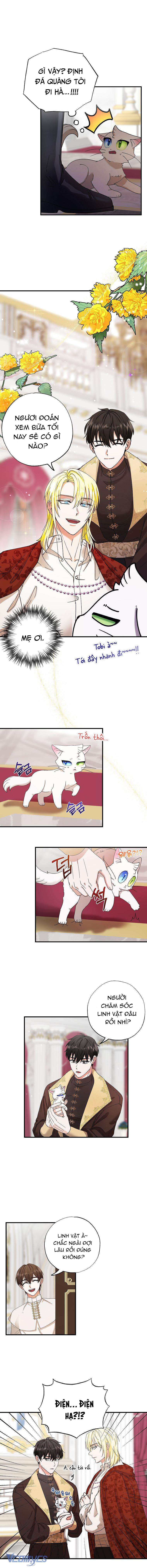 Trở Thành Miêu Nữ Của Hoàng Đế Chapter 2 - Trang 4