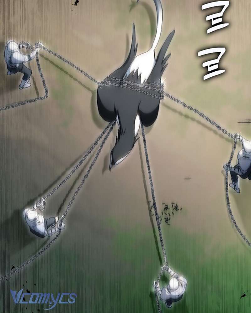 Các Nam Chính Đã Bị Nữ Phụ Cướp Mất Chap 60 - Trang 3