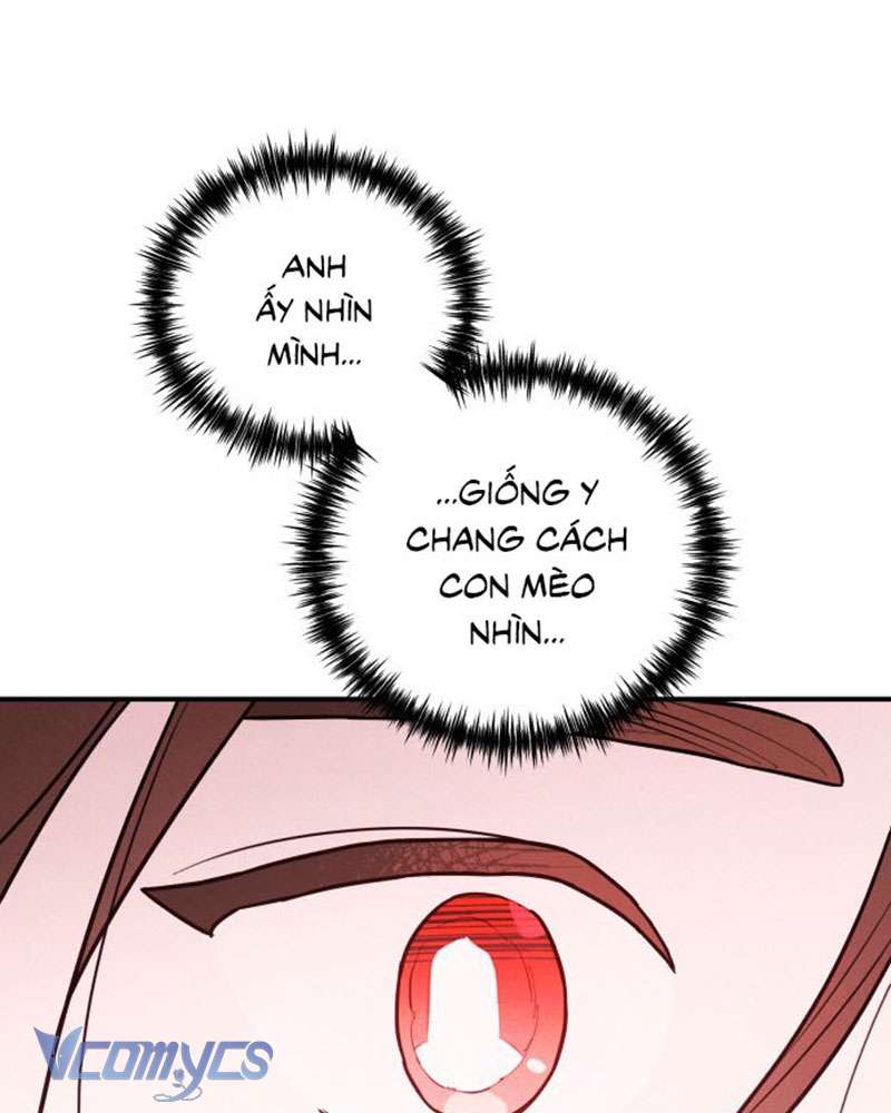 Tối Nay Tôi Là Người Được Cô Ấy Chọn Chap 2 - Trang 3