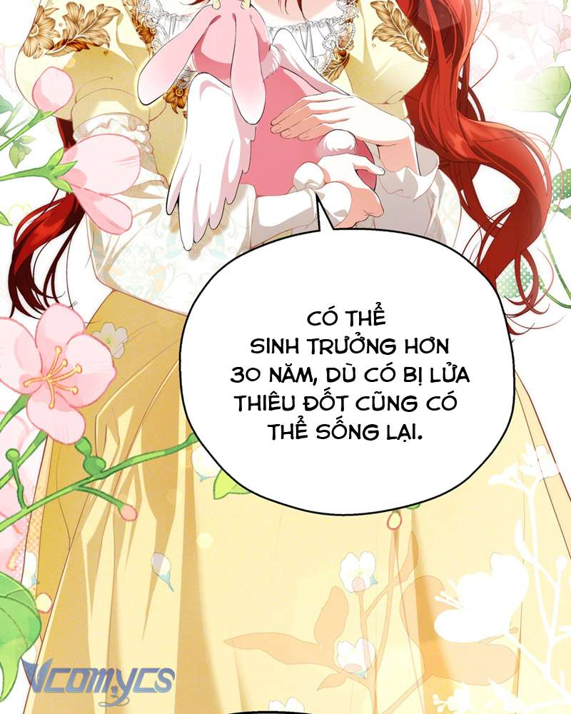 Cô Ấy Sẽ Thuần Hóa Các Anh Hùng Chap 7 - Trang 3