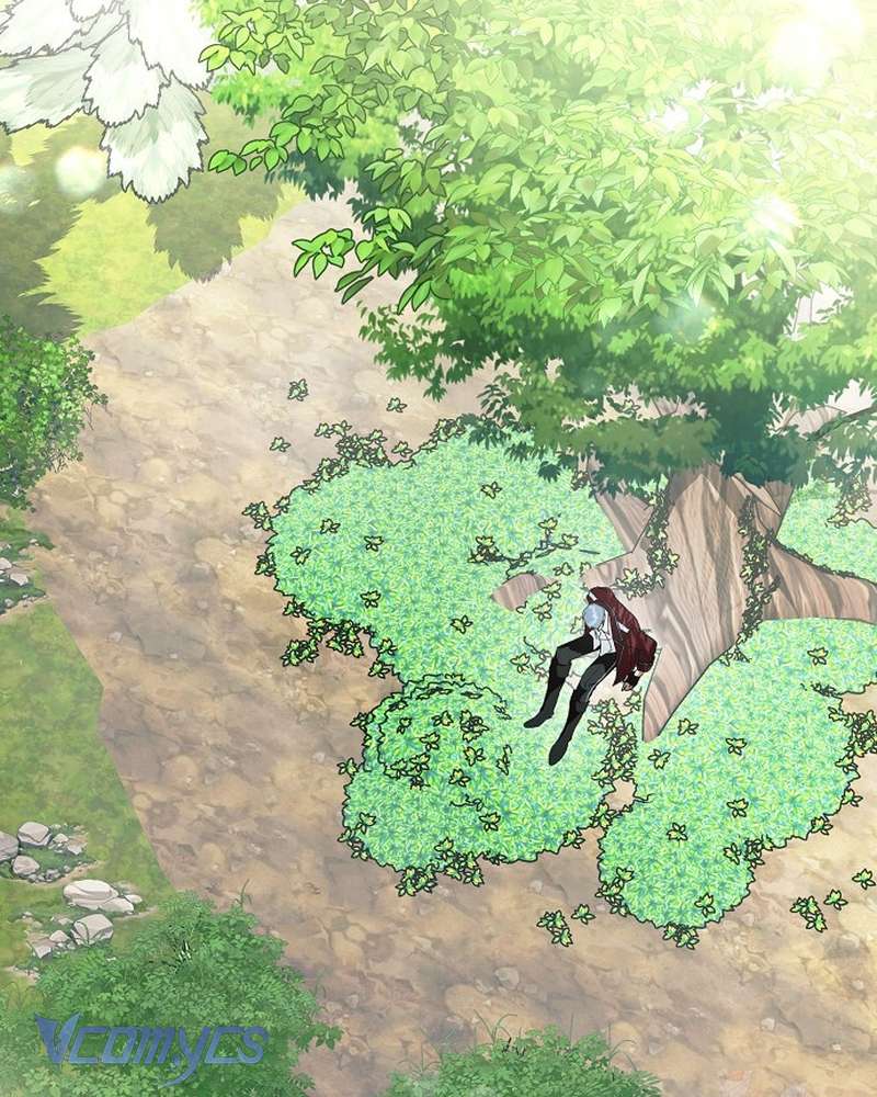 Các Nam Chính Đã Bị Nữ Phụ Cướp Mất Chap 62 - Trang 2