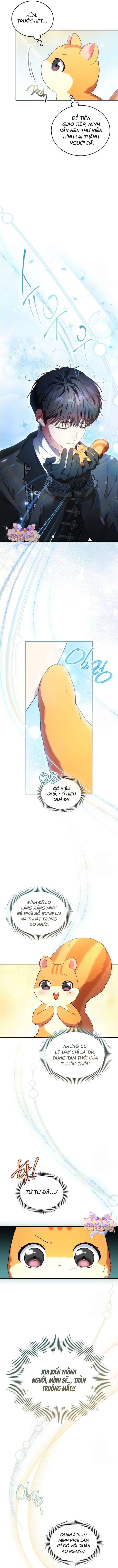 [END SS1] Trở Thành Sóc Nhỏ Của Kẻ Phản Diện Chap 23 - Trang 2